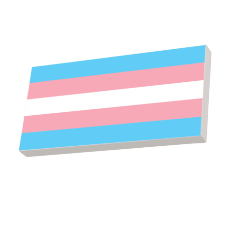 TBC_PRIDE_FLAG_TRANSGENDER_2X4_TILE_WHITE